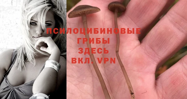 бошки Гусиноозёрск