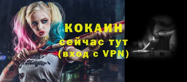 apvp Гусев