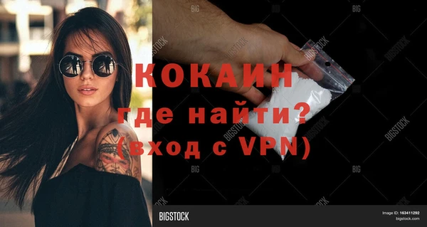 apvp Гусев