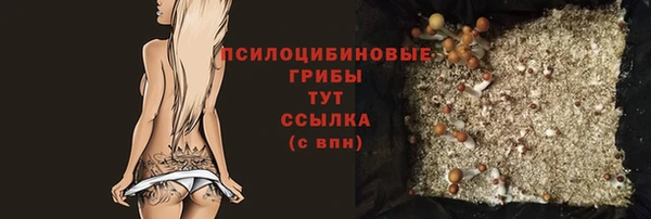 apvp Гусев