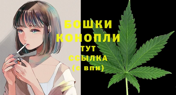 a pvp Гусь-Хрустальный