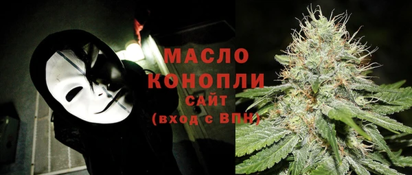 apvp Гусев