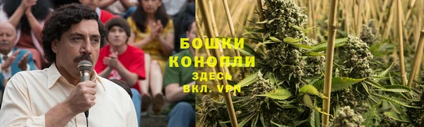 a pvp Гусь-Хрустальный